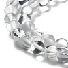 Synthetic Moonstone Beads Strands G-P528-J01-09-3