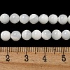 Natural Sea Shell Beads Strands SSHEL-K013-6mm-A-4