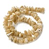 Natural Trochus Shell Beads Strands SHEL-G020-01-2