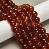 Dyed Natural Carnelian Beads Strands G-G203-10N-14mm-1