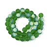 Frosted Transparent Glass Beads Strands LS-GLAA-T032-T10mm-MBB07-2