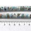Natural Larimar Beads Strands G-Q024-B03-05-5