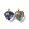 Natural Fluorite Pendants G-I311-A36-G-1