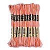 10 Skeins 6-Ply Polyester Embroidery Floss OCOR-K006-A35-1