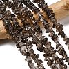 Natural Smoky Quartz Chips Beads Strands F037-1