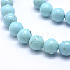 Natural Magnesite Beads Strands TURQ-G148-07-10mm-3