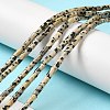 Natural Dalmatian Jasper Beads Strands G-E612-B01-4