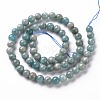 Natural Amazonite Beads Strands X-G-S333-6mm-005-2
