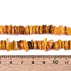 Natural Freshwater Shell Beads Strands SHEL-N037-01A-4