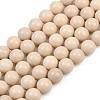 Natural Fossil Beads Strands G-E110-14mm-2-2