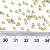 Glass Seed Beads X-SEED-S042-04A-02-4