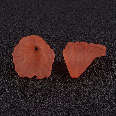 Transparent Acrylic Beads PL622-C12-1