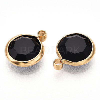 K9 Glass Charms X1-GLAA-T023-37A-01-1