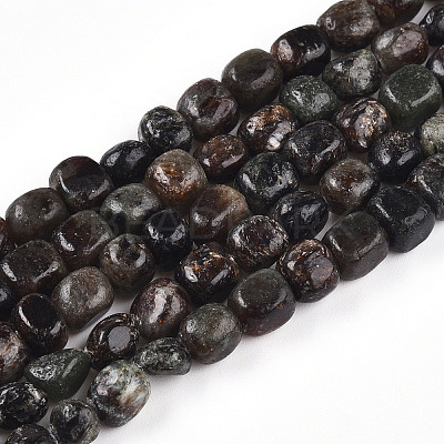 Natural Biotite Beads Strands G-N346-04A-02-1