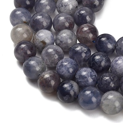 Natural Iolite Beads Strands X-G-G300-A04-8mm-1