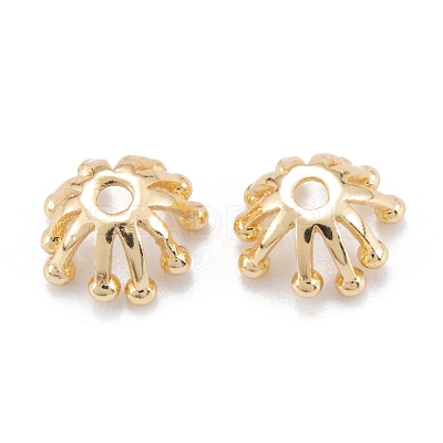 Brass Multi-Petal Bead Caps KK-K251-06G-1