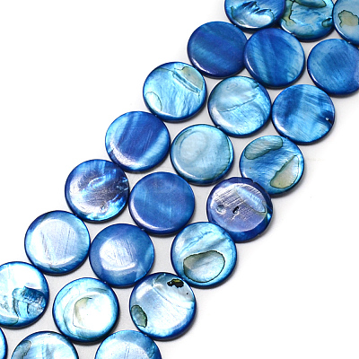 Natural Shell Beads Strands SHS054-017-1