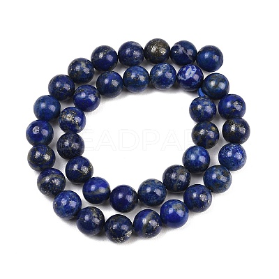 Natural Lapis Lazuli Bead Strands G-G953-03-10mm-1