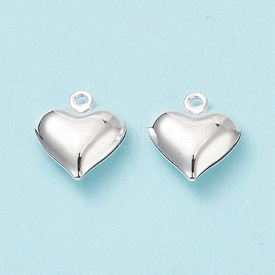 304 Stainless Steel Pendants STAS-H413-16S-1