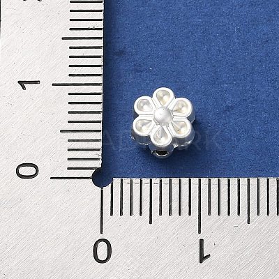 Rack Plating Alloy Beads FIND-C062-06A-S-1