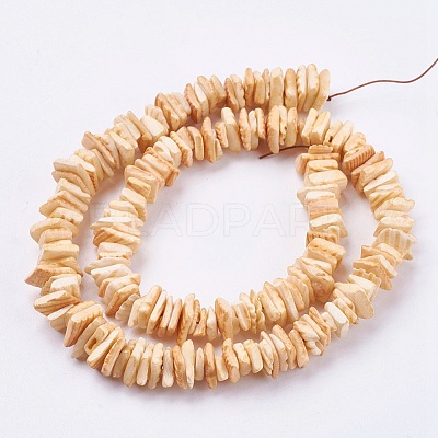 Natural Sea Shell Beads Strands BSHE-K012-08-1