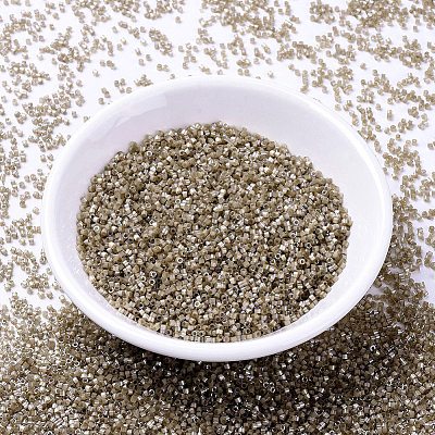 MIYUKI Delica Beads X-SEED-J020-DB1862-1