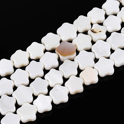 Natural Freshwater Shell Beads Strands SHEL-N027-02-01-1