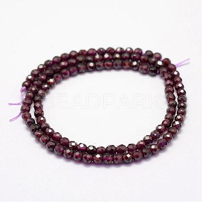 Natural Garnet Beads Strands G-F460-28-1