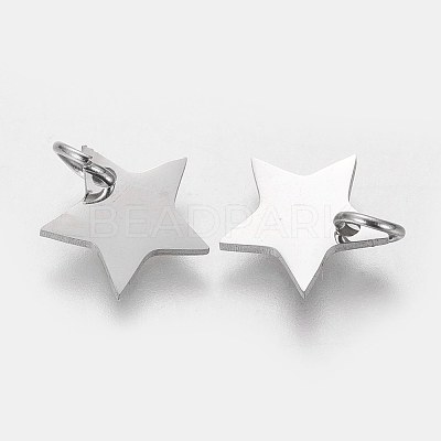 Tarnish Resistant 304 Stainless Steel Charms LS-STAS-Q201-T461S-1