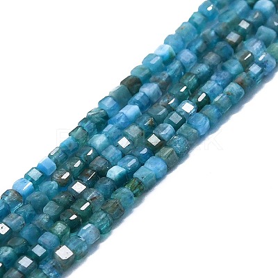 Natural Apatite Beads Strands G-P457-B01-14-1