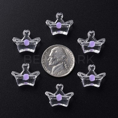 Transparent Acrylic Beads MACR-S373-105-B02-1