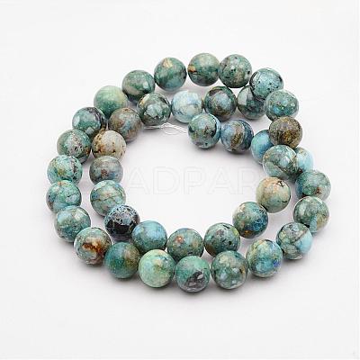 Natural Variscite Bead Strands G-P300-01-10mm-1