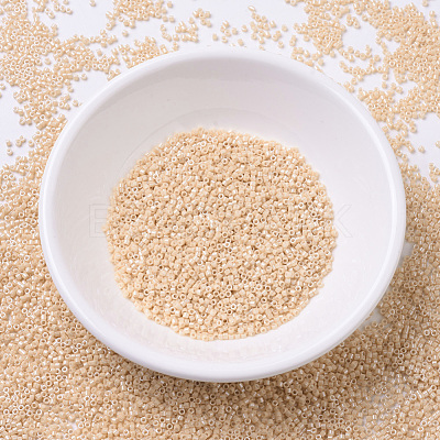 MIYUKI Delica Beads SEED-JP0008-DB0205-1