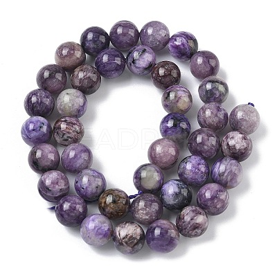 Natural Charoite Beads Strands G-C270-O02-10-1