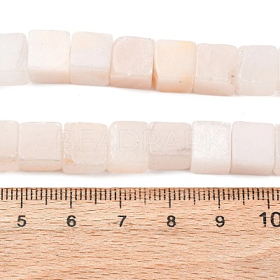 Natural Selenite Beads Strands G-B155-C08-8x8mm-1