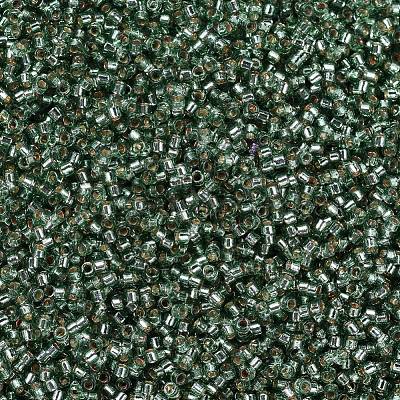 MIYUKI Delica Beads SEED-X0054-DB2165-1