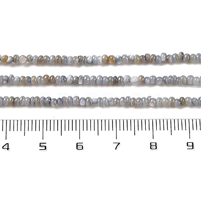 Natural Freshwater Shell Beads Strands SHEL-P017-01A-13-1