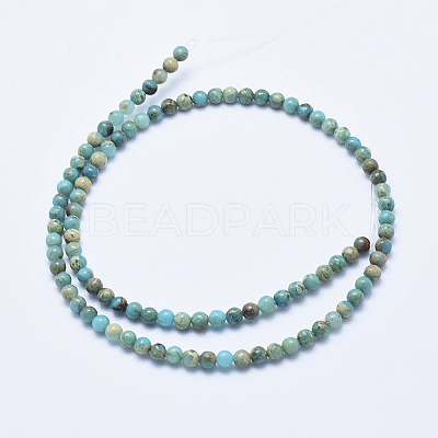 Natural Aqua Terra Jasper Beads Strands LS-G-E444-14A-4mm-1