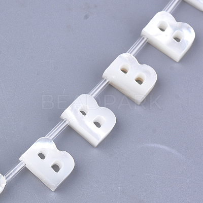 Natural Sea Shell Beads SHEL-T012-60B-1