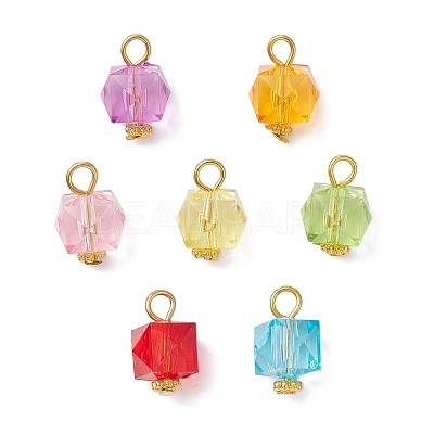 Transparent Acrylic Pendants PALLOY-JF04258-01-1