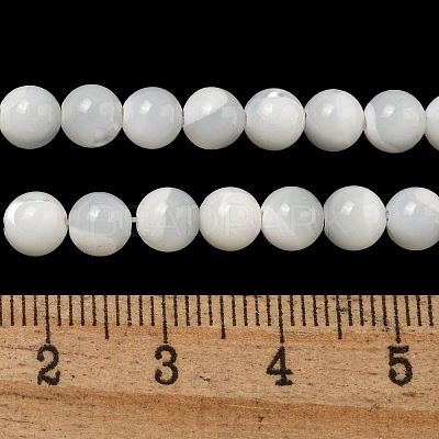 Natural Sea Shell Beads Strands SSHEL-K013-6mm-A-1