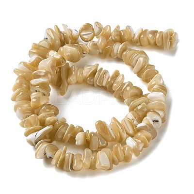 Natural Trochus Shell Beads Strands SHEL-G020-01-1