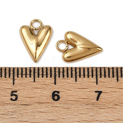 304 Stainless Steel Charms STAS-R170-01G-04-1