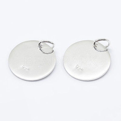 925 Sterling Silver Pendants STER-K167-006C-S-1
