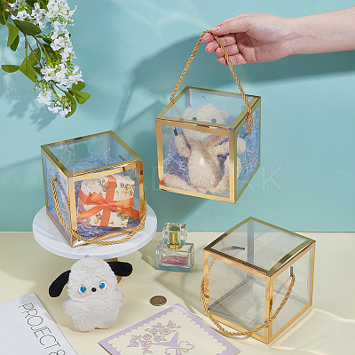 Foldable Hot Stamping Transparent PVC Packaging Boxes LS-CON-WH0123-24A-02-1