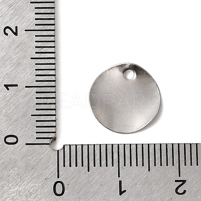 304 Stainless Steel Charms STAS-D217-04P-1