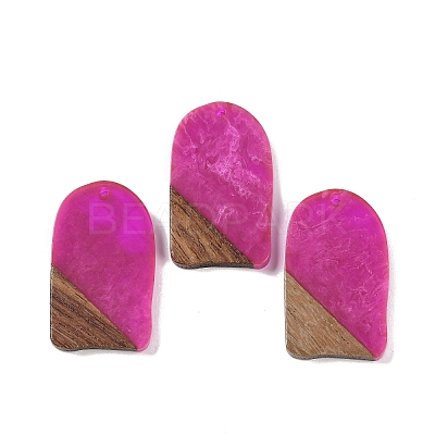 Resin & Wood Pendants WOOD-F015-13G-1