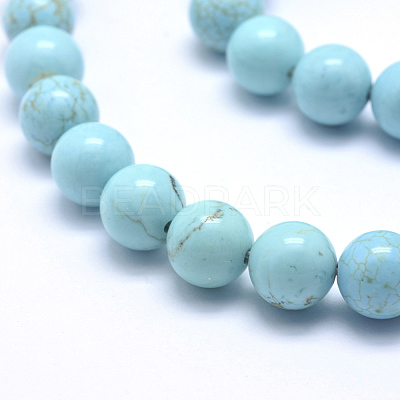Natural Magnesite Beads Strands TURQ-G148-07-10mm-1