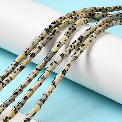 Natural Dalmatian Jasper Beads Strands G-E612-B01-1