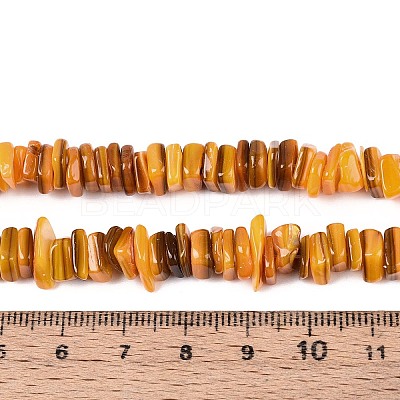 Natural Freshwater Shell Beads Strands SHEL-N037-01A-1